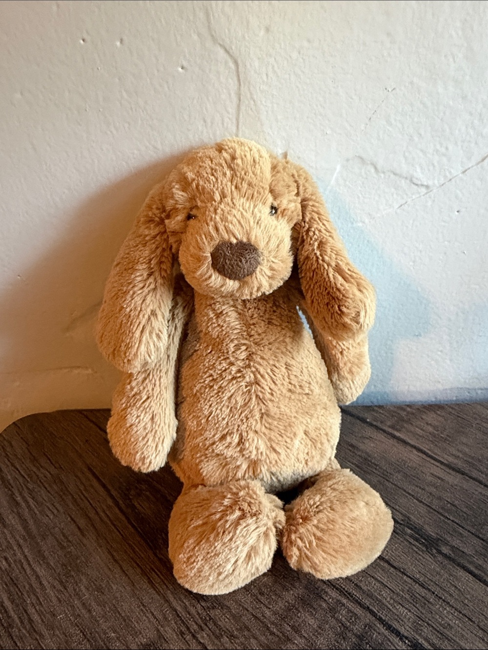 Jellycat Bashful Toffee Puppy - medium **currently out of stock